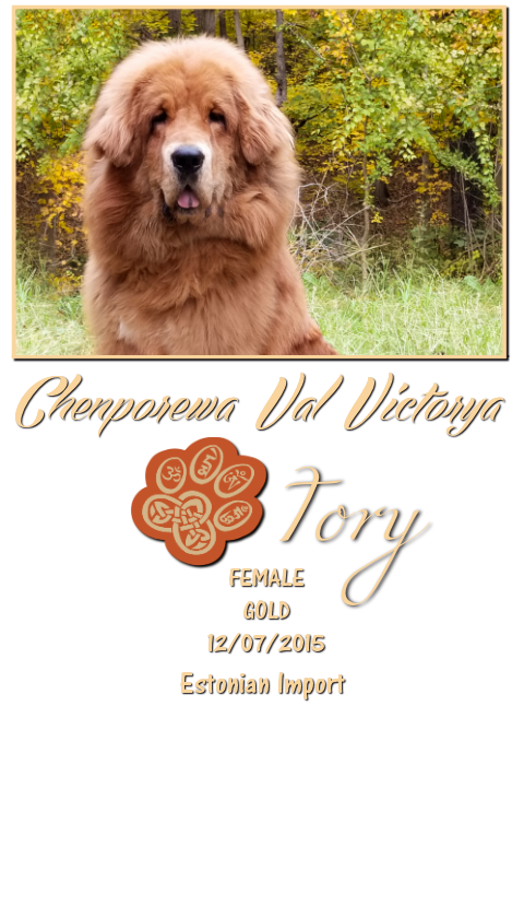Estonian Import - Chenporewa Val Victorya